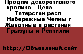 Продам декоративного кролика › Цена ­ 1 000 - Татарстан респ., Набережные Челны г. Животные и растения » Грызуны и Рептилии   